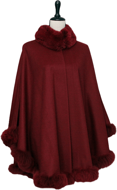 arias_de_petri-story-roter_poncho