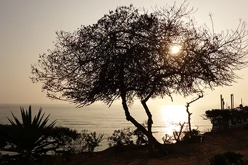 Landschaft in Lima, Peru bei Sonnenuntergang – Herkunft der Arias de Petri Kollektion